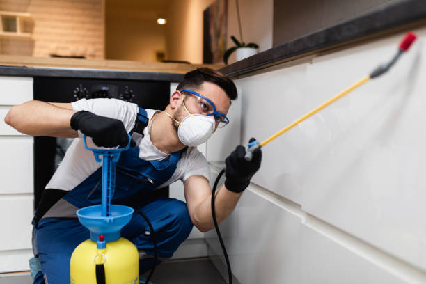 Best Best Pest Control Companies  in Boron, CA