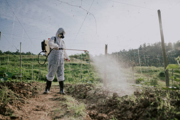 Best Best Pest Control Companies  in Boron, CA