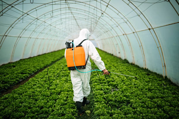 Best Affordable Pest Control Services  in Boron, CA