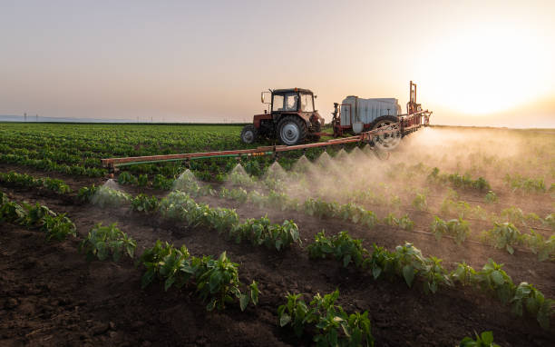 Best Pest Control Near Me in Boron, CA