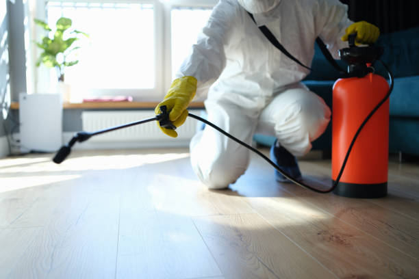 Best Flea Control Services  in Boron, CA