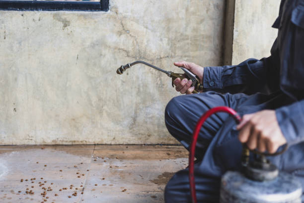 Best Commercial Pest Control Services  in Boron, CA