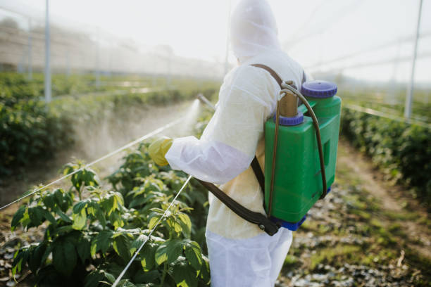 Best Best Pest Control Near Me  in Boron, CA